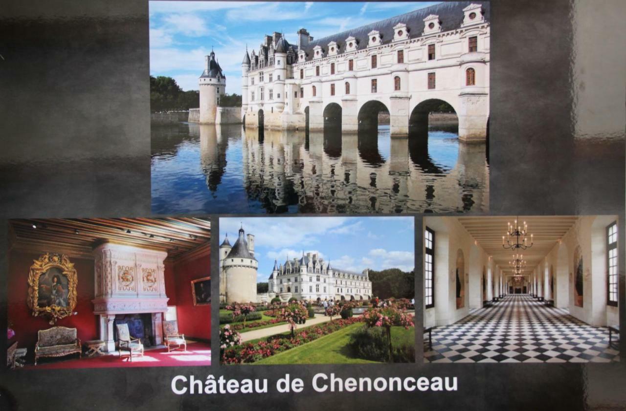 Sur Les Toits D'Amboise Apartment Екстериор снимка